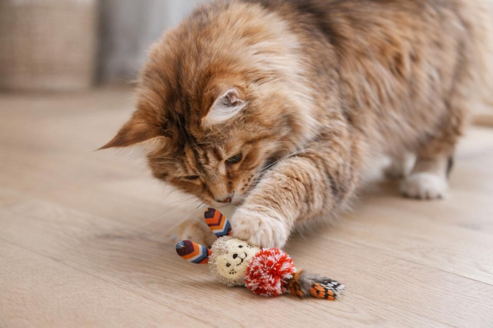 Companion Kanin plyschdjur med fjädrar