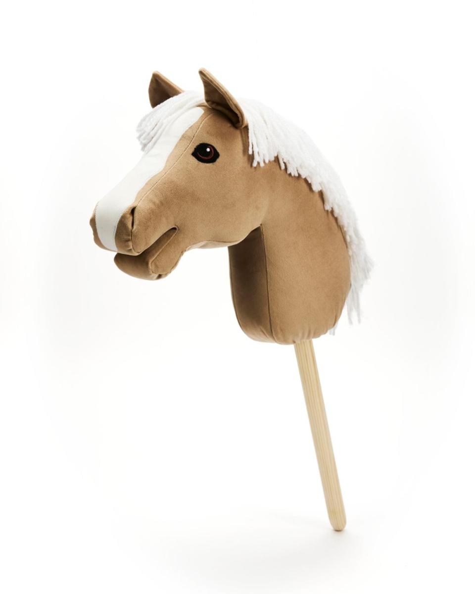 My Hobby Horse Sarmon
