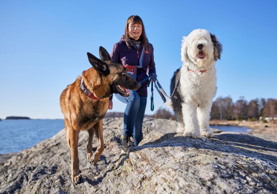 Hurtta Rover halsbånd