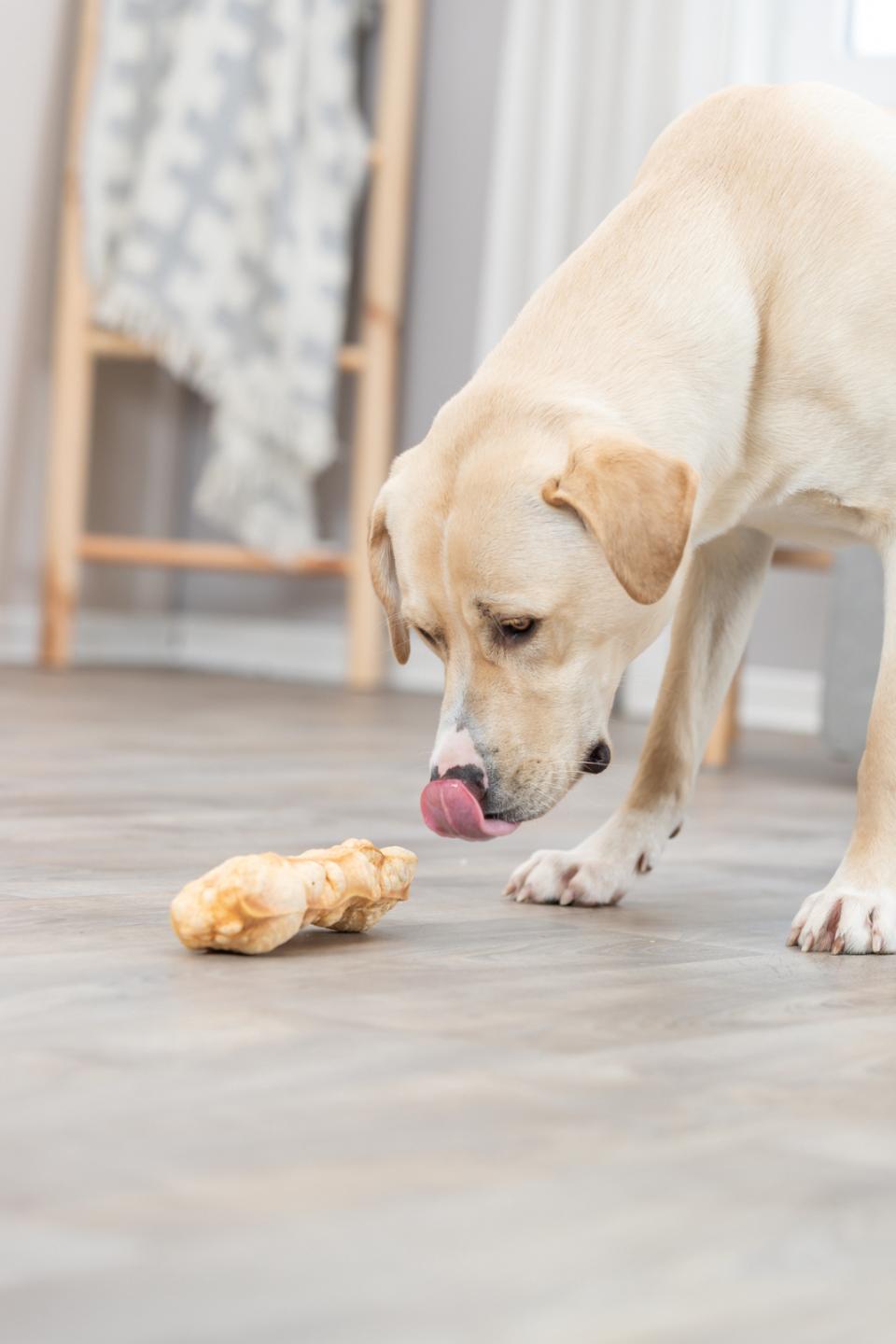 Trixie tyggestænger, ost