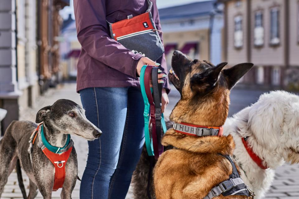 Hurtta Rover halsbånd