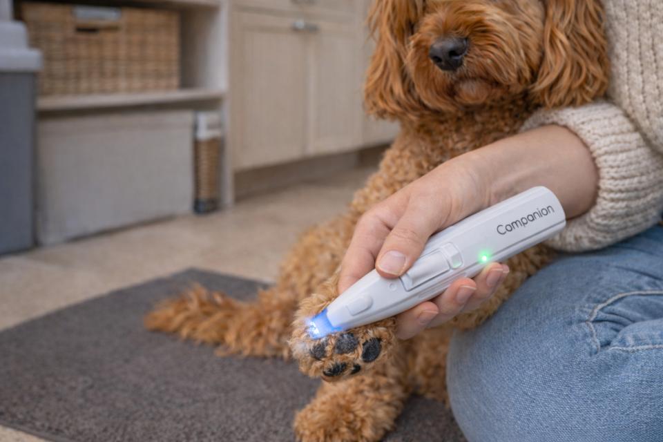 Companion potatistrimmer med belysning