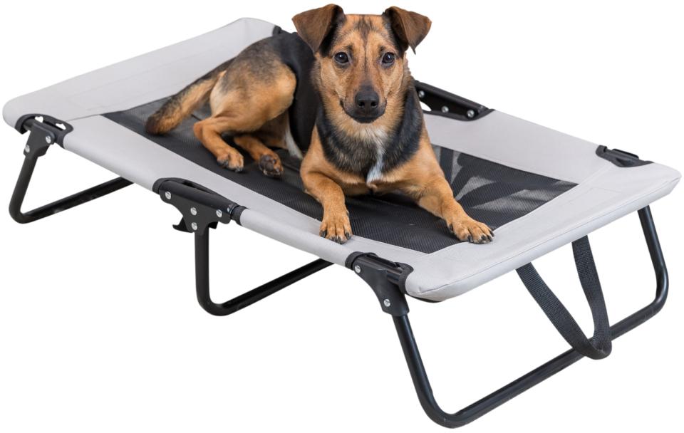 Trixie Dog lounger Sammenleggbar seng