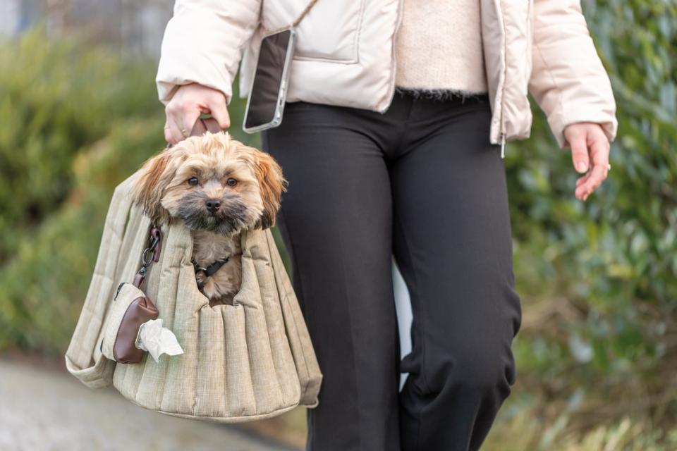 Trixie transporttaske Sophie