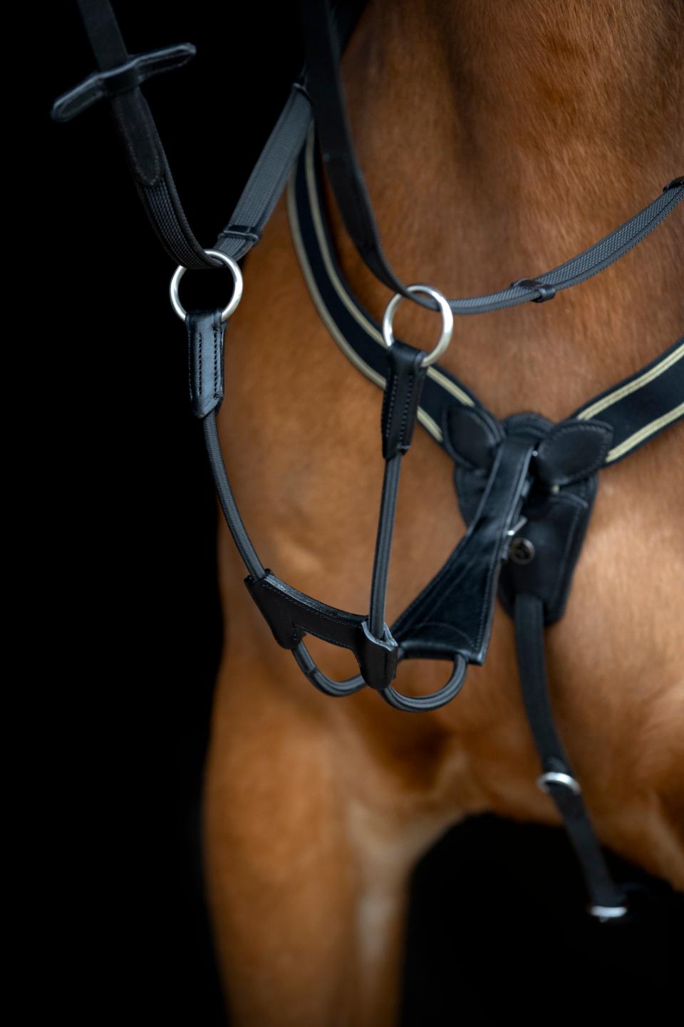 HorseGuard Derin loose elastic martingal