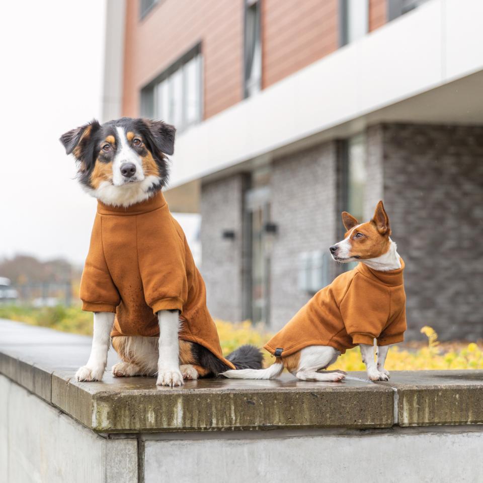 Trixie CityStyle Amsterdam sweatshirt for dogs
