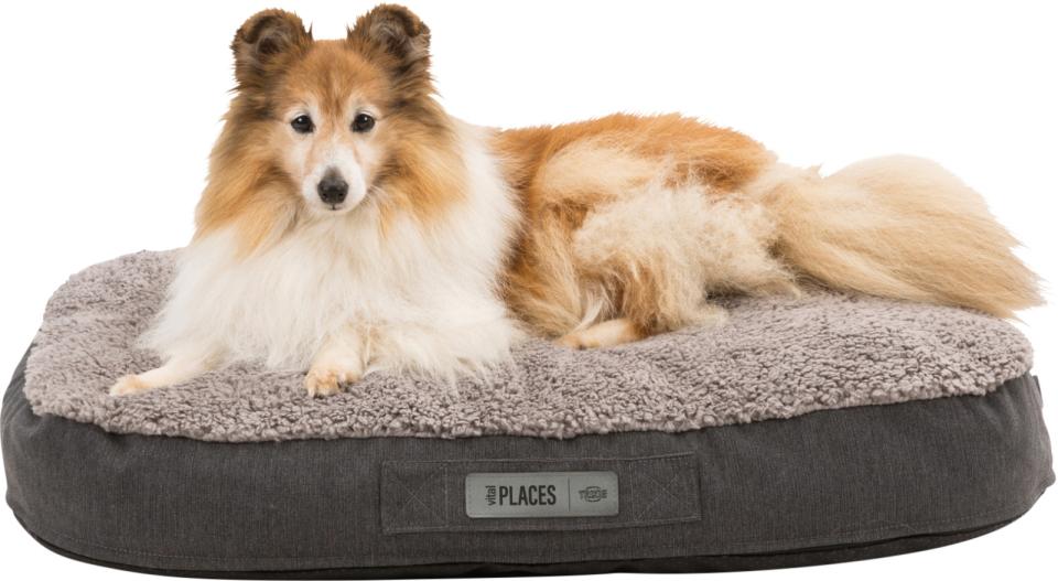 Bendson Vital Cushion