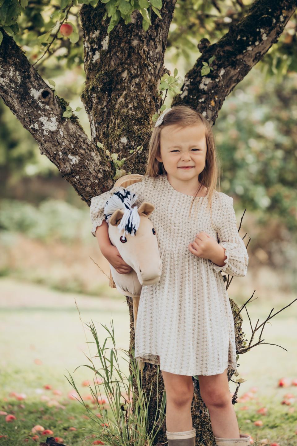 My Hobby Horse Käpphäst Fjord
