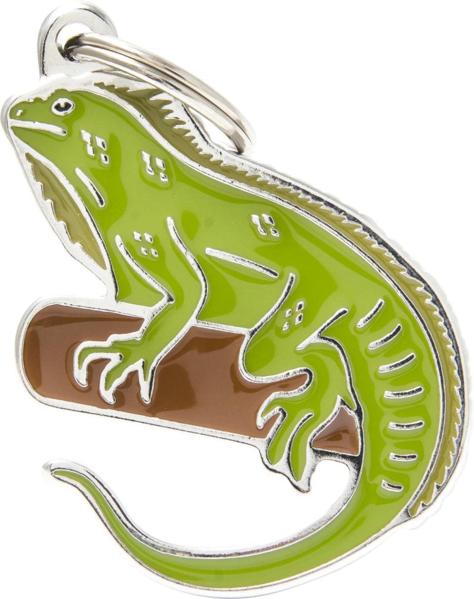 MyFamily Wild, leguan