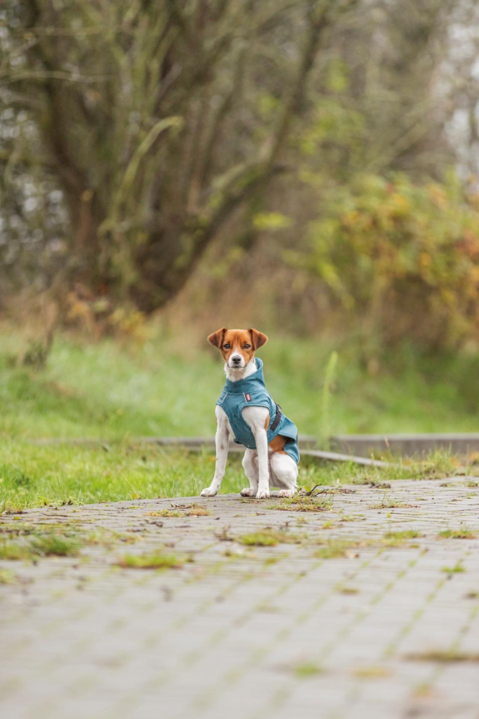 Trixie Vimy hunderegnfrakke