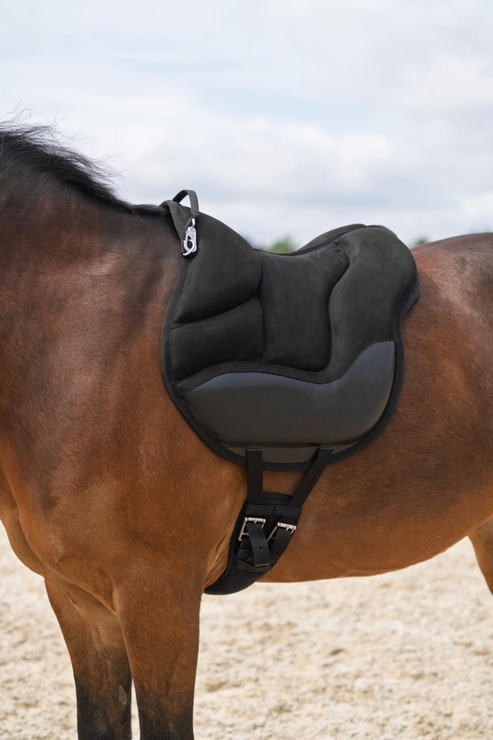 HorseGuard Velika barebackpad