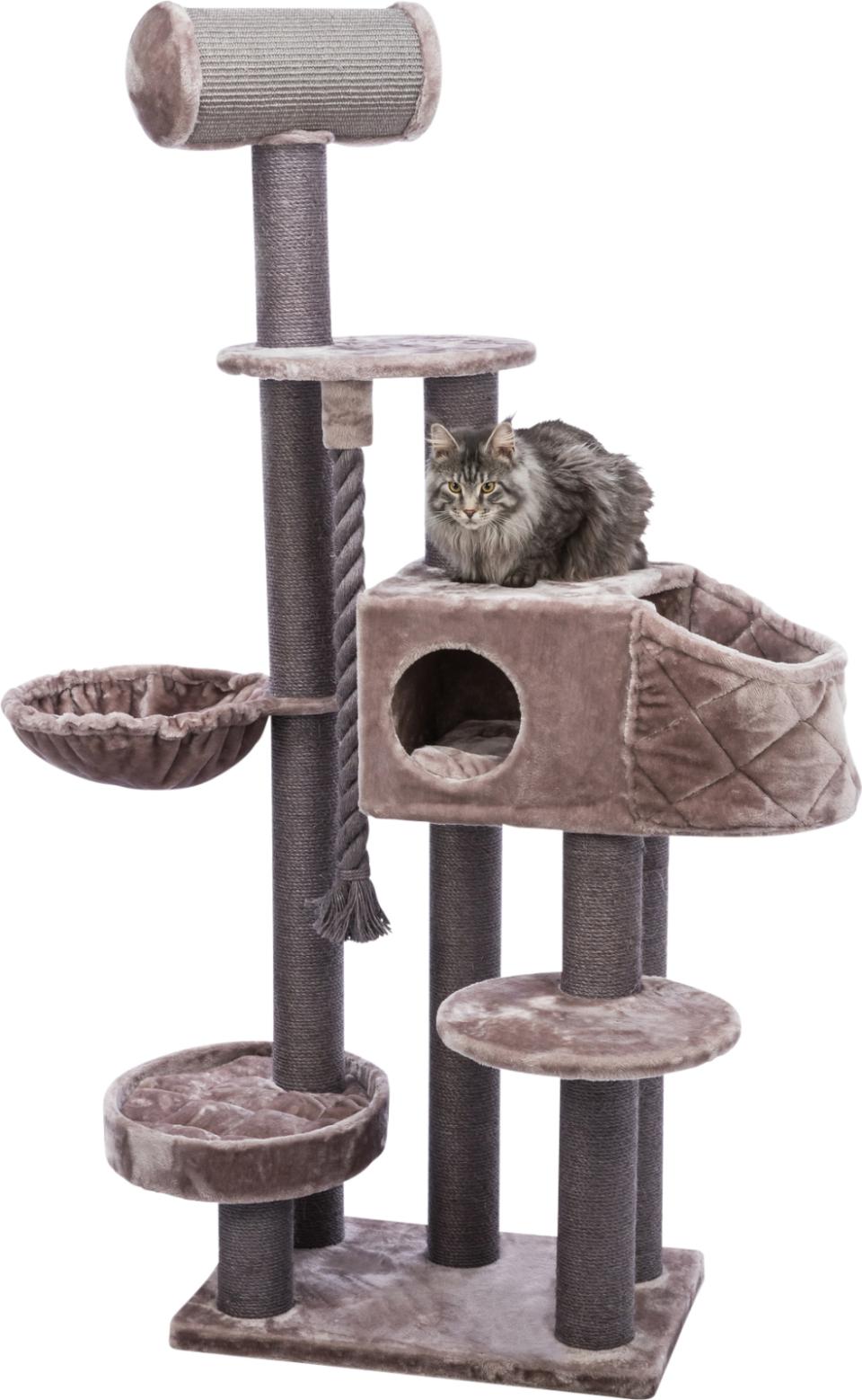 Andres scratching post XXL