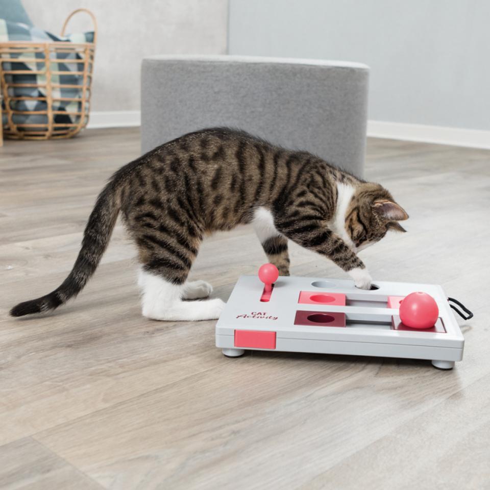 Cat Activity Brain Mover