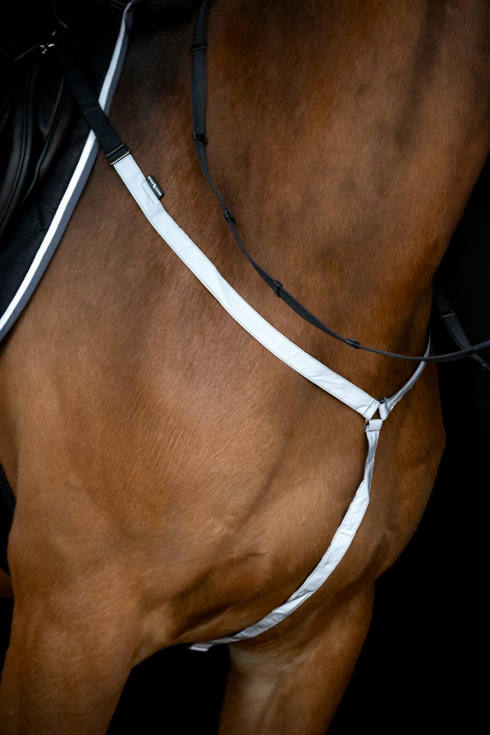 HorseGuard Totally Reflective Breastplate