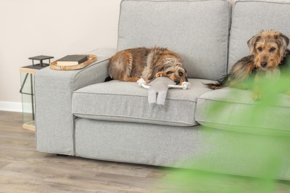 Trixie plysj vaskebjørn med lyd