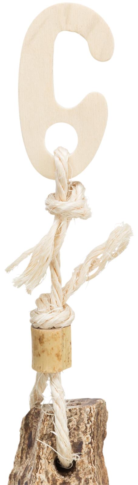 Natural toy, mahogany pod/sea shells