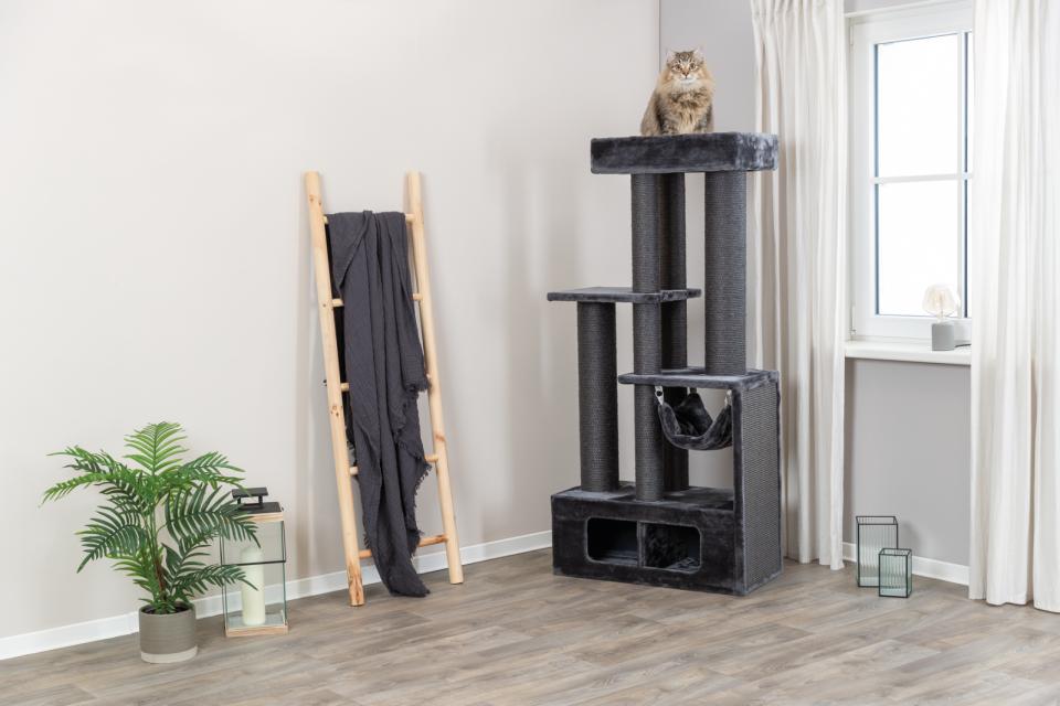 Trixie Antonio kattetræ