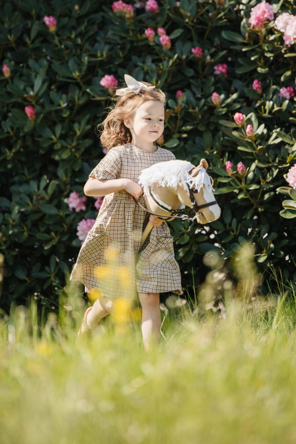 My Hobby Horse martingale, brown