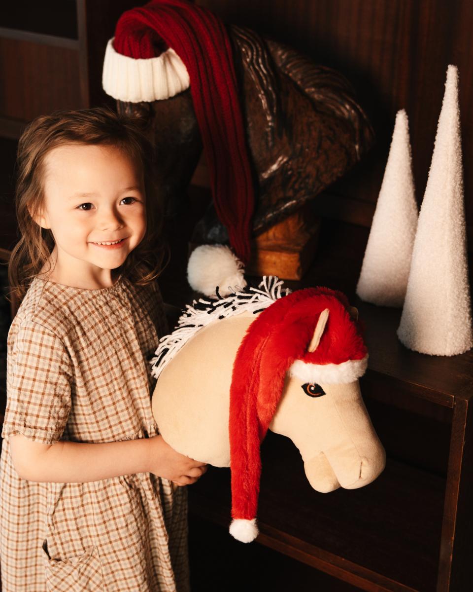 My Hobby Horse Christmas hat