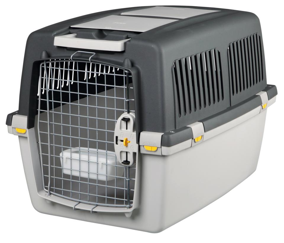 Gulliver Transportbox