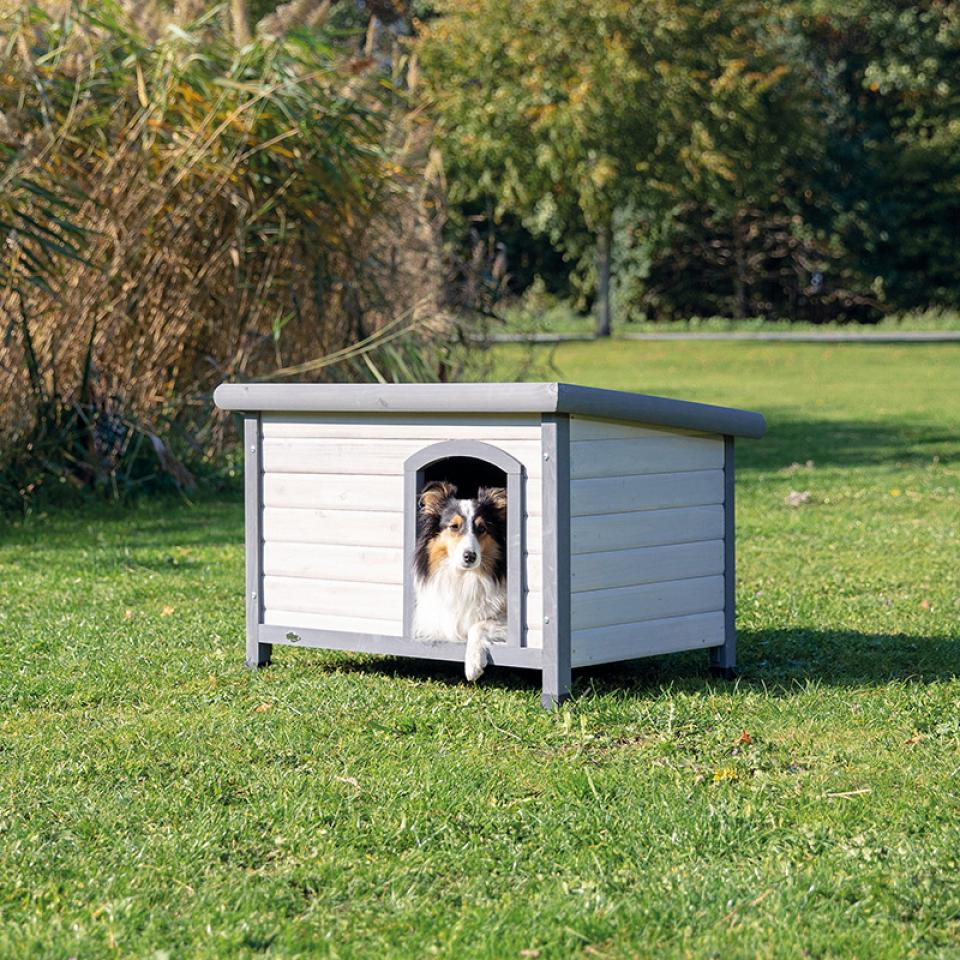 Classic Dog Kennel