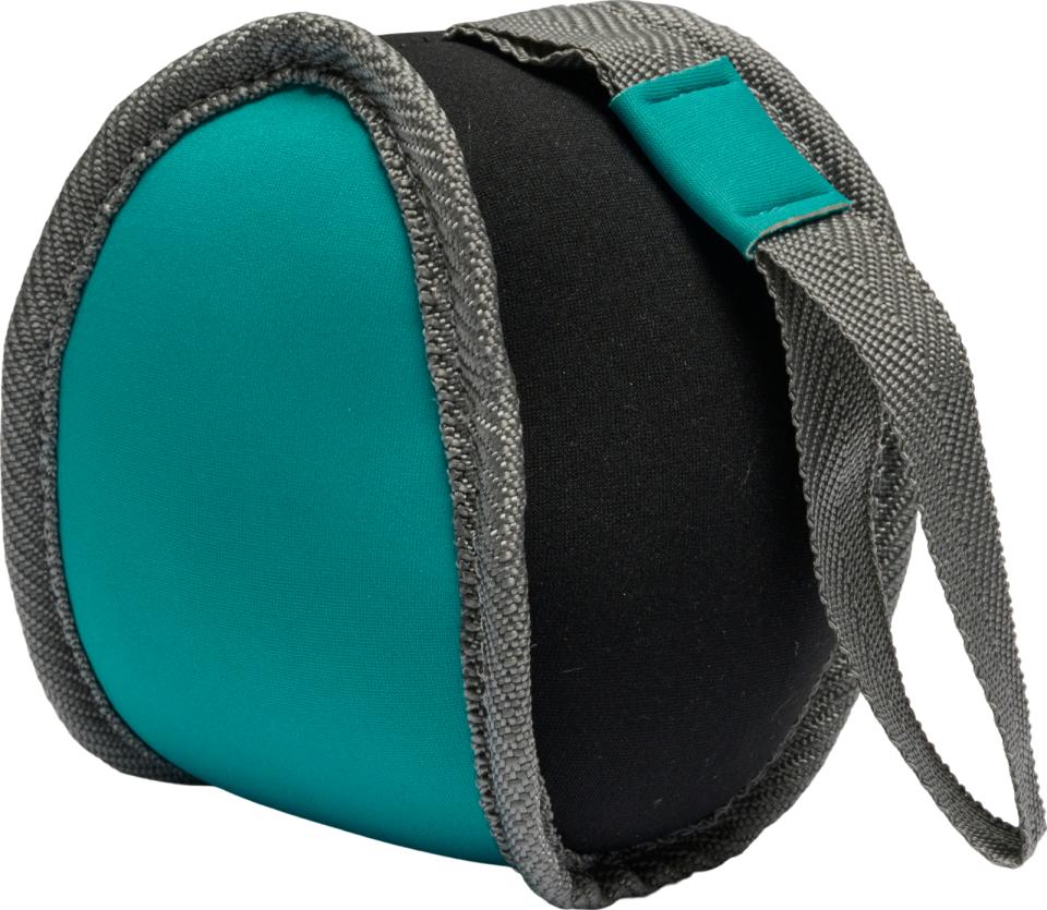 Companion flydende hval