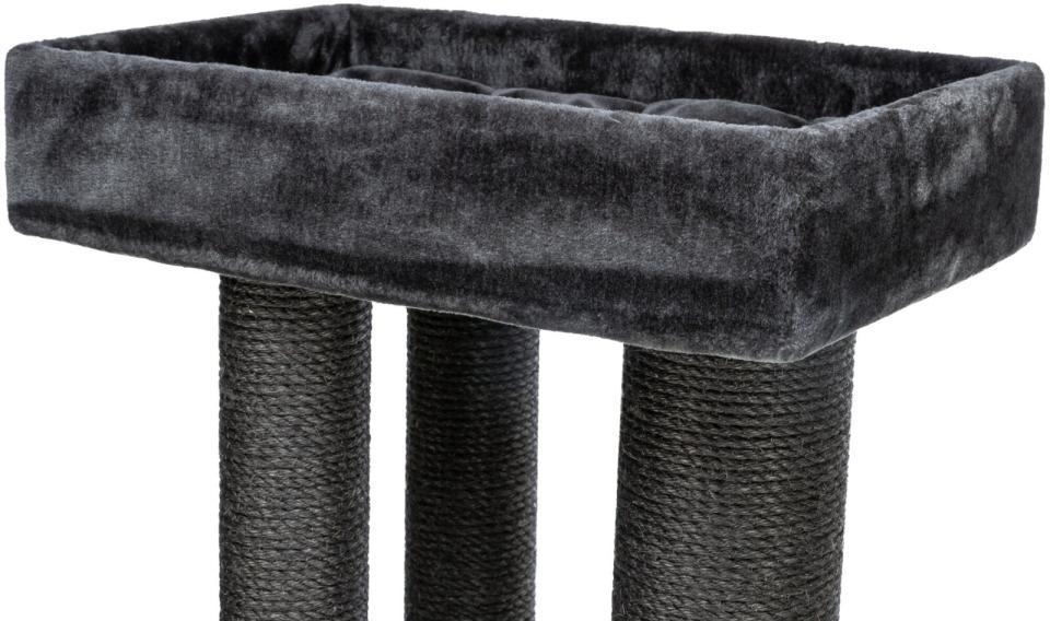 Trixie Antonio kattetræ