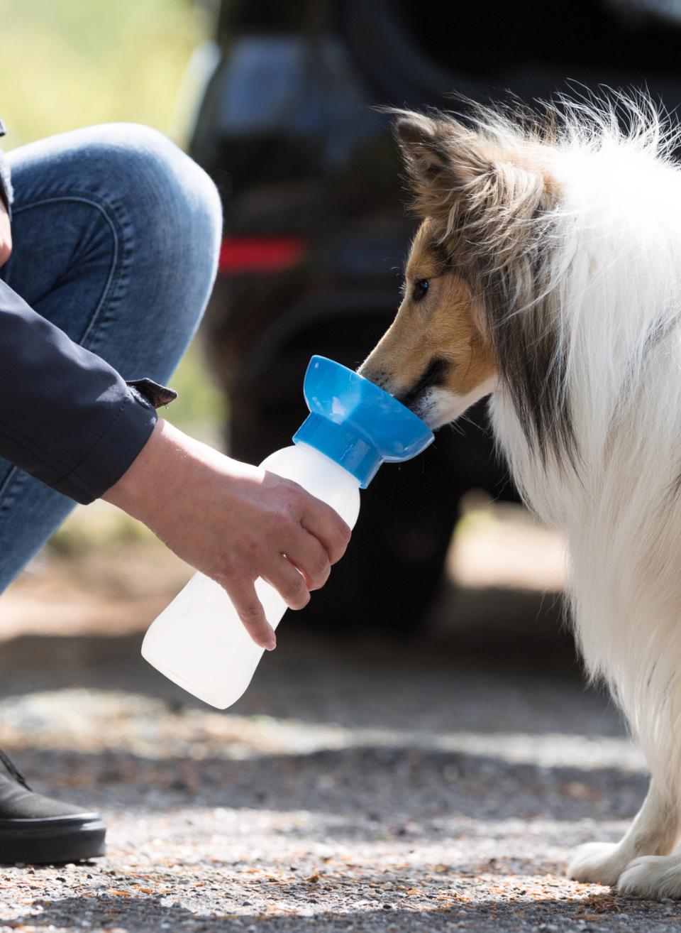 Bottle with Drinking Bowl