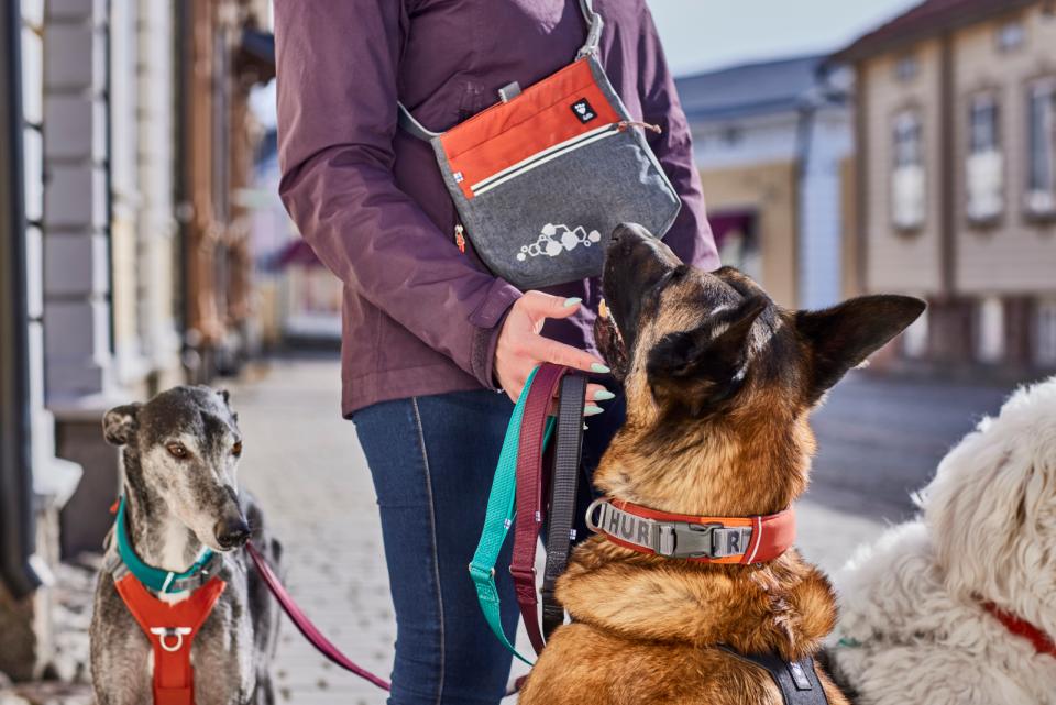 Hurtta Treat Pocket godteripose