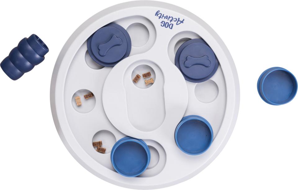 Dog Activity Flip & Fun