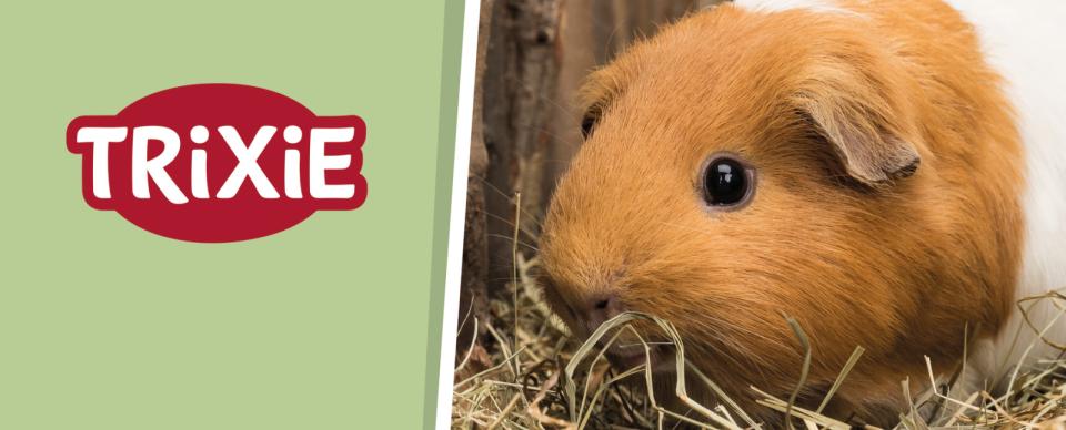 Magnet skilt t. Tego reol gnaver