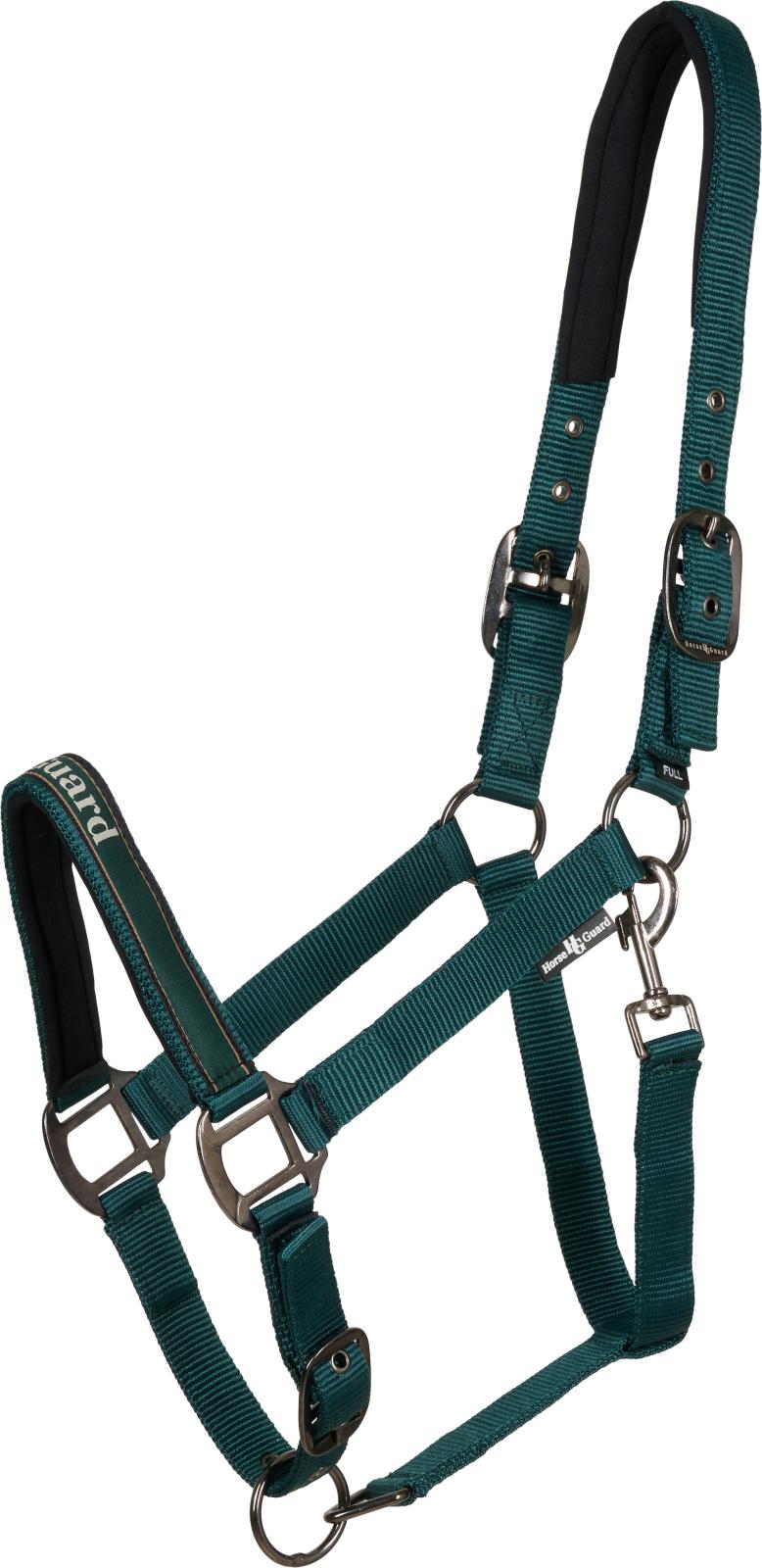 Horse Guard Sandra grime