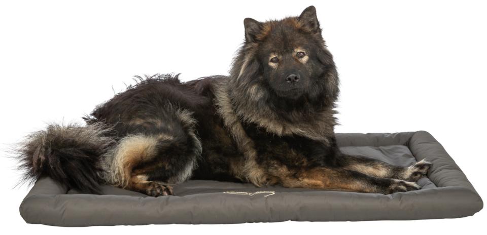 Trixie rejsetæppe Samoa Classic