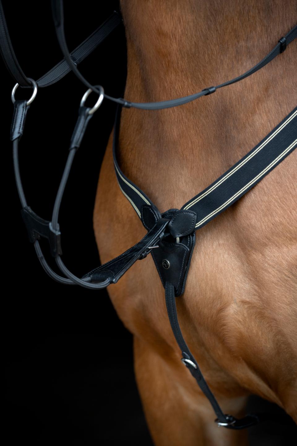 HorseGuard Derin loose elastic martingal