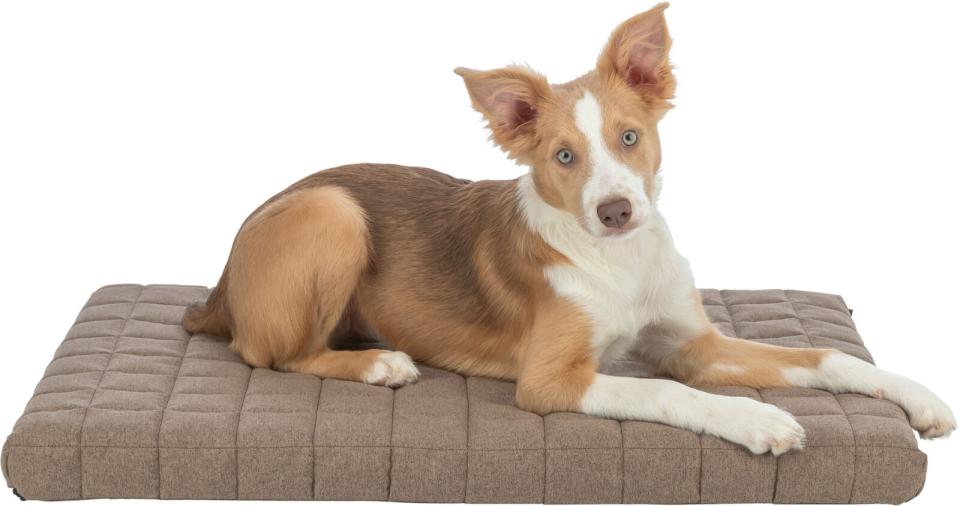 Trixie Caliente Vital hundemadras