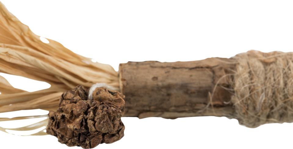 Jolly Paw Matatabi stick with tassels