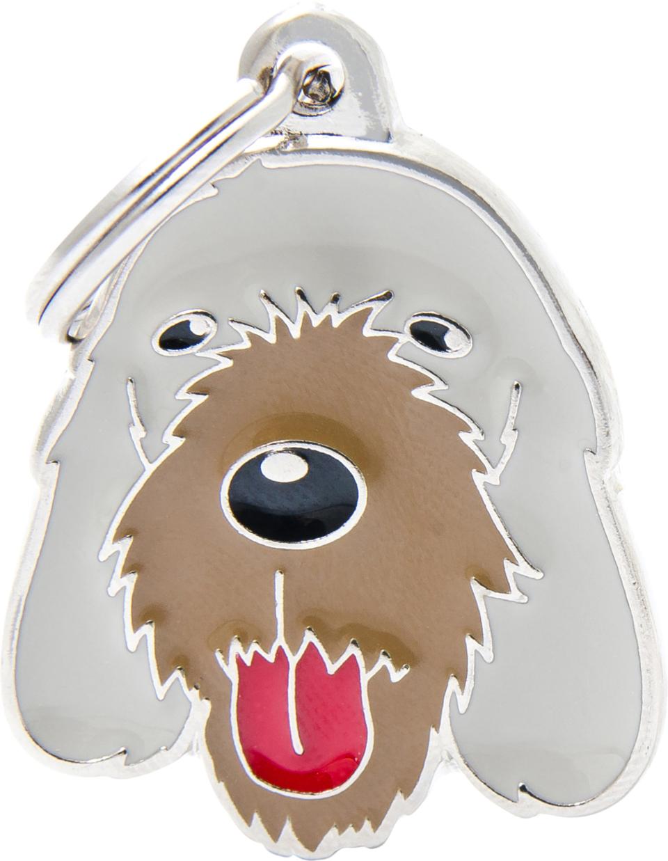 MyFamily Friends, Italiensk Spinone