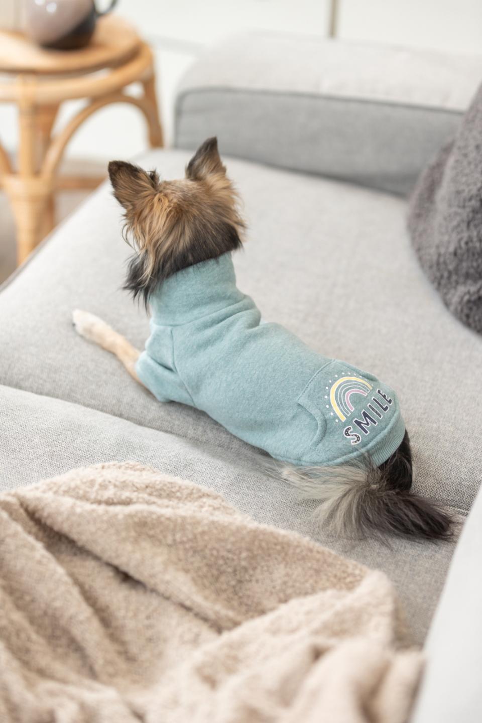 Trixie Littleton sweatshirt til hunde