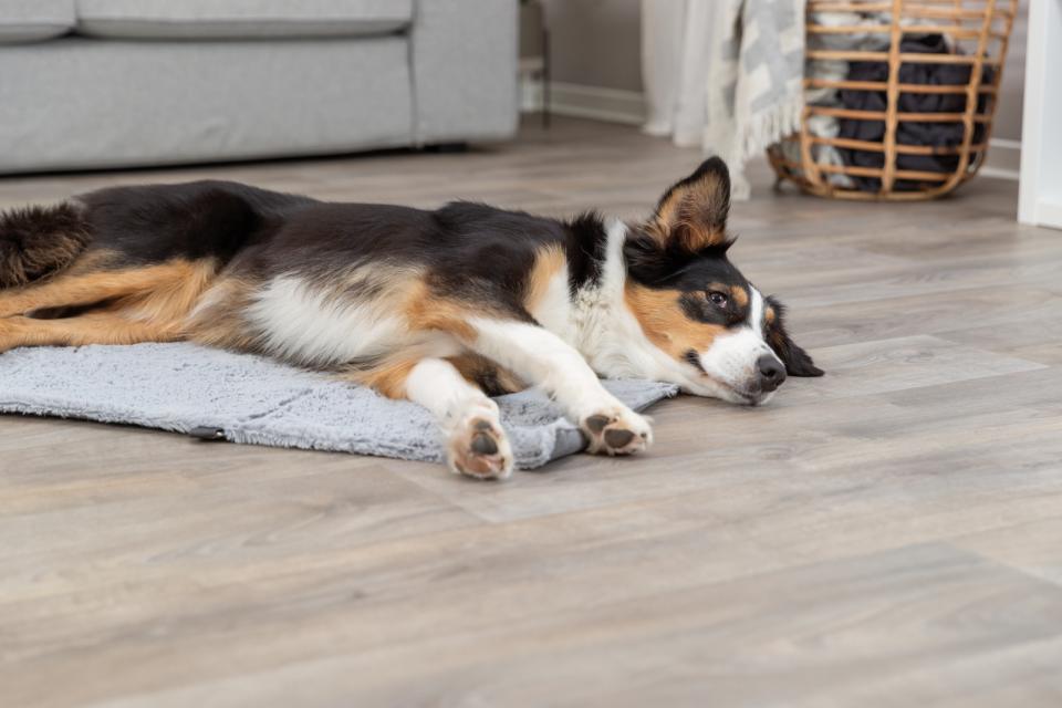 Trixie Amy rejsetæppe