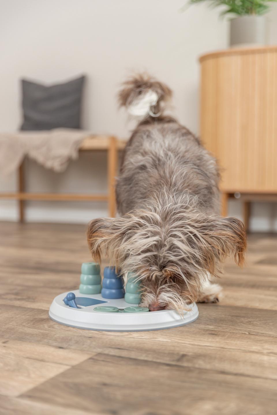Dog Activity Flip Board