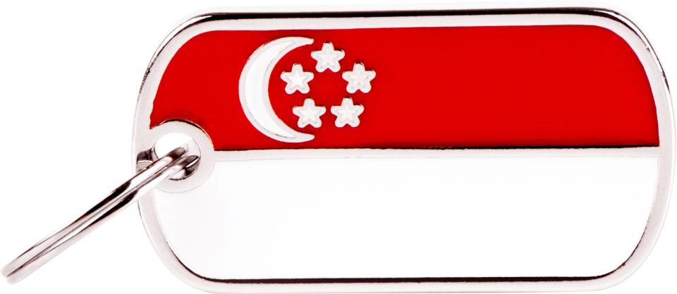 MyFamily flag, Singapore