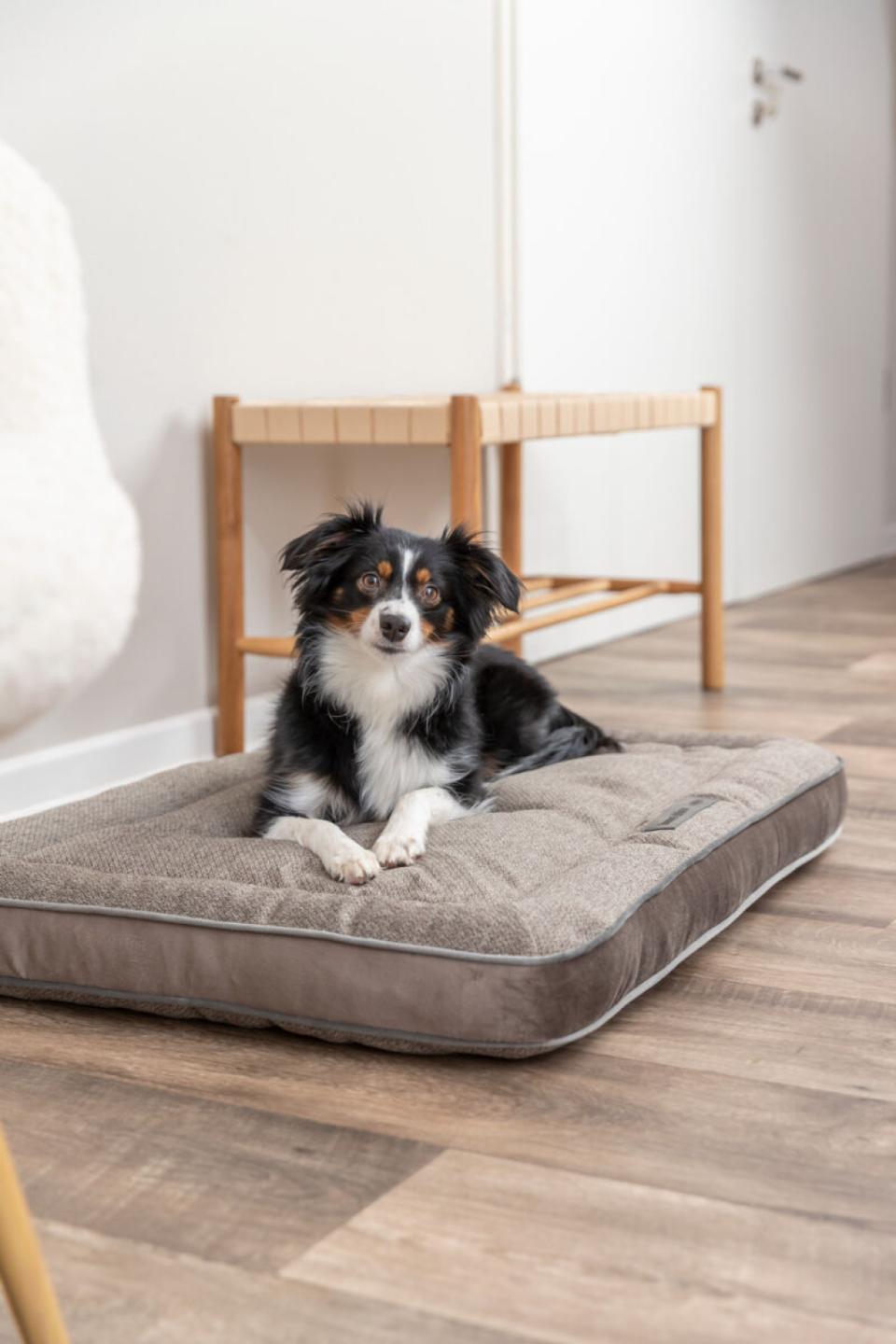 Trixie hundepude Liano