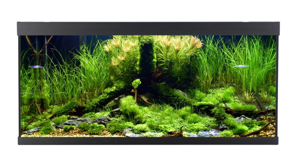 AkvaStabil ELEMENT Akvarium
