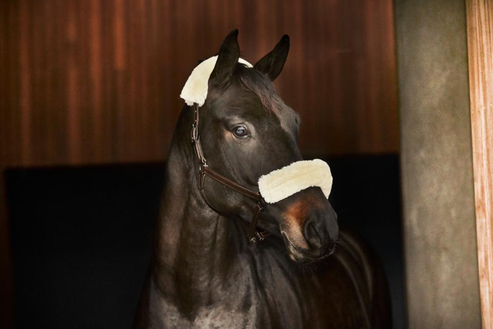 CATAGO Halfter m. im. Lammfell