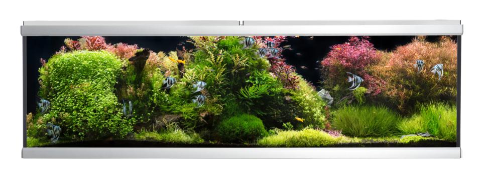 AkvaStabil MOVE akvarium - 720 liter