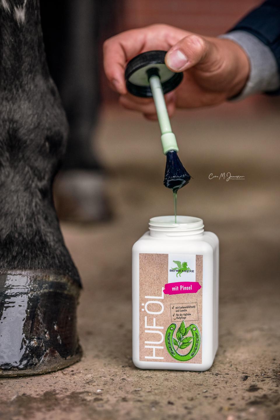 Bense & Eicke hovolja