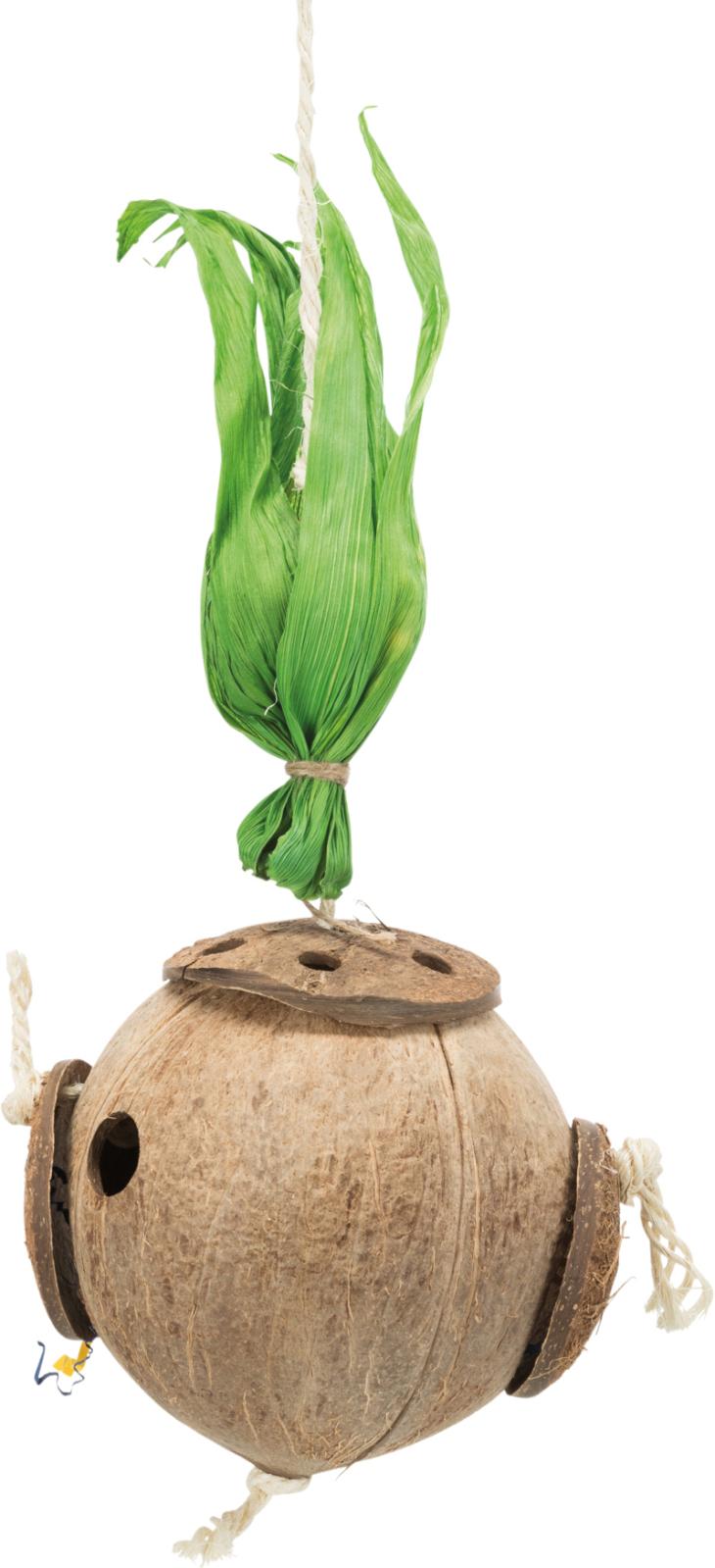 Coconut on a Sisal Rope