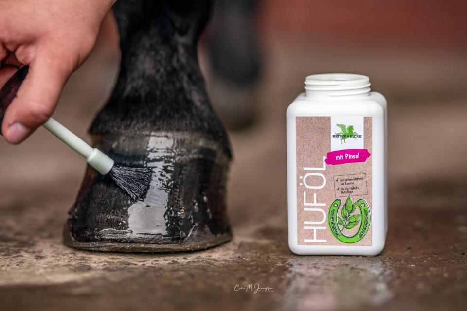 Bense & Eicke hovolja