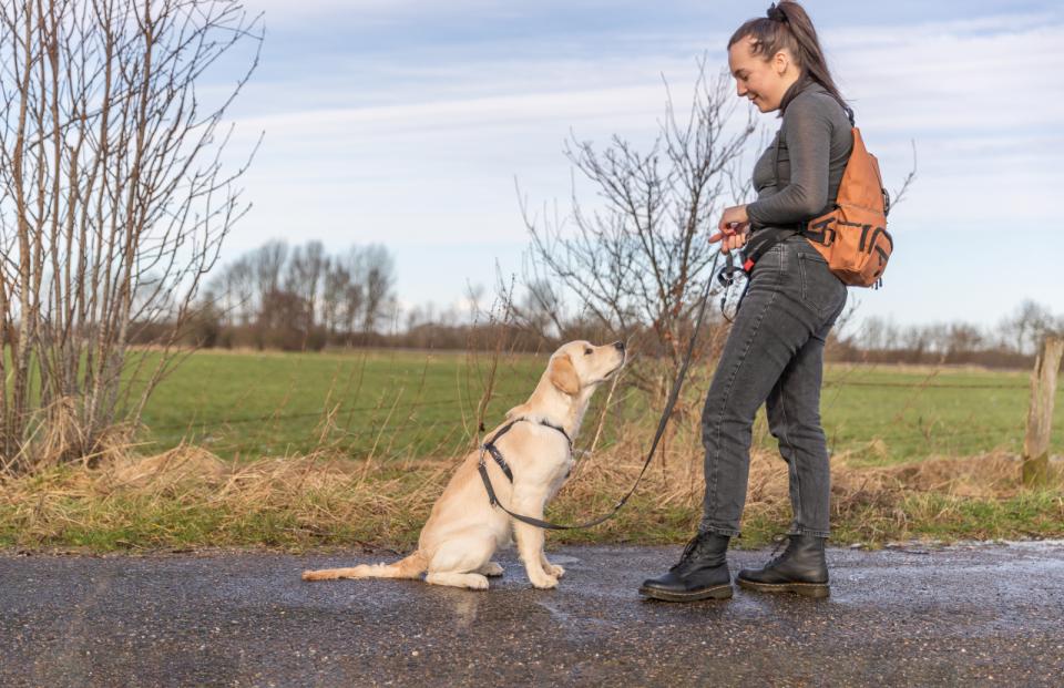 Trixie kombinationstaske