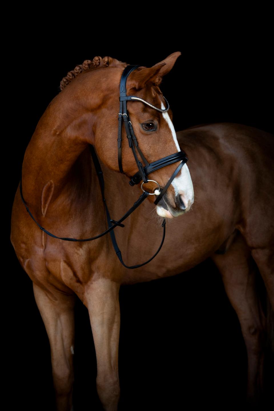 Happy Mouth bitt, 3-delt med kobberrulle, løse ringer